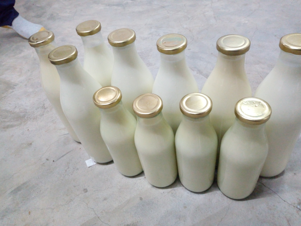 fresh milk supplier