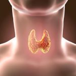 Support Thyroid Activity Through Personalized Care Targeting Hormonal Imbalance