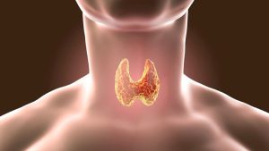 Support Thyroid Activity Through Personalized Care Targeting Hormonal Imbalance